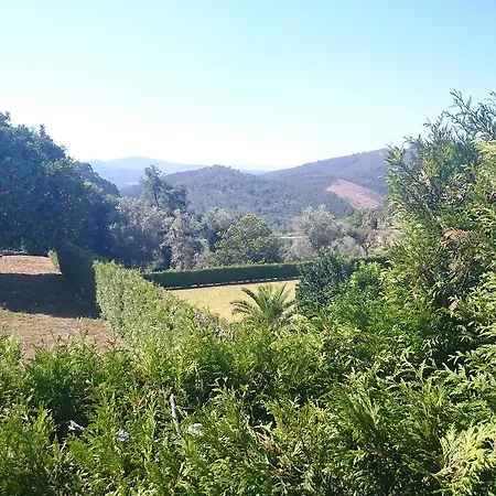 Solar Olival Da Vinha Castelo de Paiva