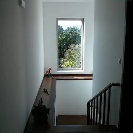 Solar Olival Da Vinha Castelo de Paiva