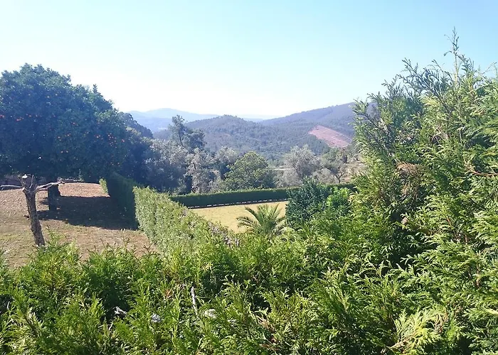 Solar Olival Da Vinha Castelo de Paiva