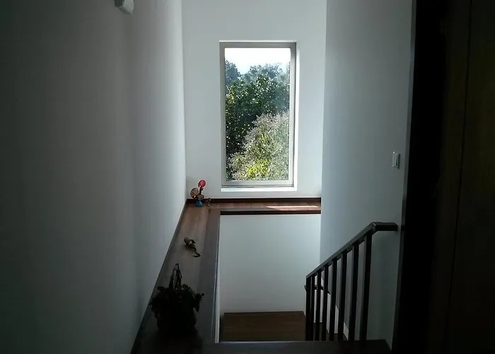 Solar Olival Da Vinha 派瓦堡