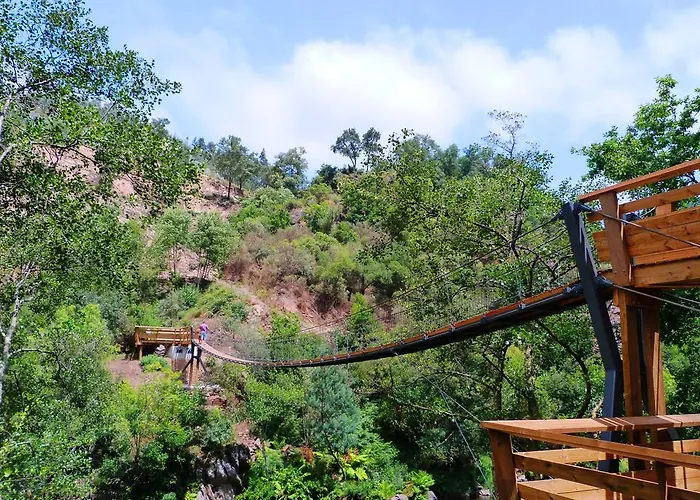 Solar Olival Da Vinha * Castelo de Paiva